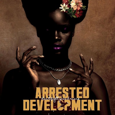 ARRESTED DEVELOPMENT - DON\'T FIGHT YOUR DEMONS LP