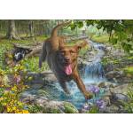 Schmidt Spiele - Puzzle Fredrickson: Retriever in Spring - 1 000 piese