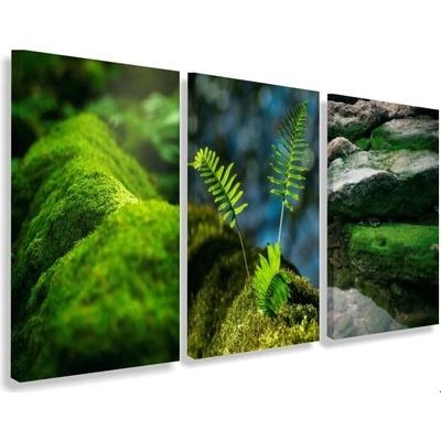 Divio Třídílný obraz na plátně , vzor 20318 Velikost: 60x120 cm