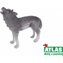 Atlas A Vlk