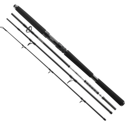 Daiwa BG Travel Boat 2,25 m 150-500 g 4 díly