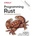 Programming Rust