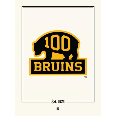 Mustang Plagát Boston Bruins NHL 100th Anniversary