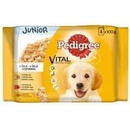 Pedigree Junior kura ryža hovädzina ryža v želé 4 x 100 g