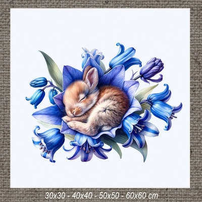 Obraz SPIACI ZAJAČIK n 60x60 cm