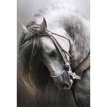 Norimpex - Puzzle Diamant painting: Portrait of a white horse 30x40cm - 1 - 39 piese
