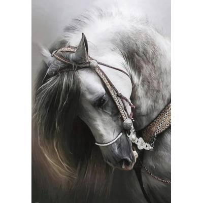 Norimpex - Puzzle Diamant painting: Portrait of a white horse 30x40cm - 1 - 39 piese