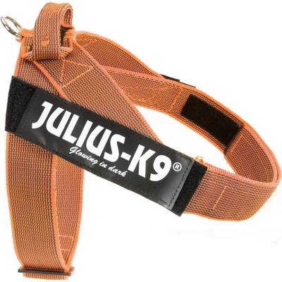 Julius-K9 IDC Color & Grey postroj