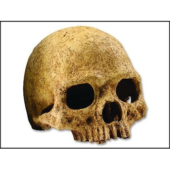 Hagen Exo Terra Lidská lebka 15x11,5x10,5 cm