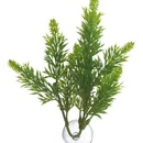 Zoo Med Malaysian Fern L