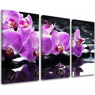 Obraz na stenu FENG SHUI - 120x80 cm
