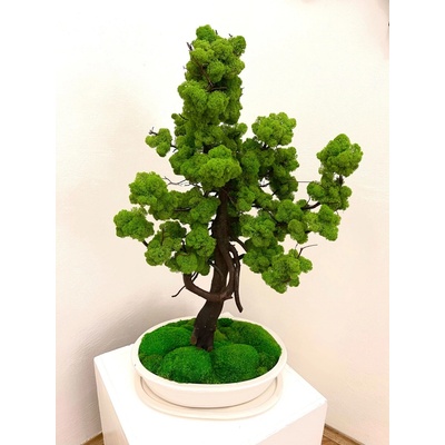 Bonsaj bezúdržbový Luxury 85cm
