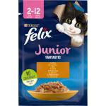 FELIX Junior Fantastic пауч с пиле - 0.085кг