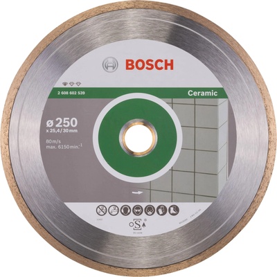 Bosch 250 mm 2608602539
