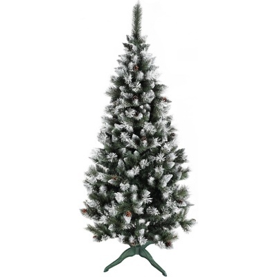 zanapo.cz Borovice Dziki diamond 220 cm