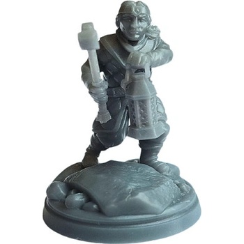 RS Design 3D Figúrka Jeden prsten RPG Trpaslice z Durinova lidu