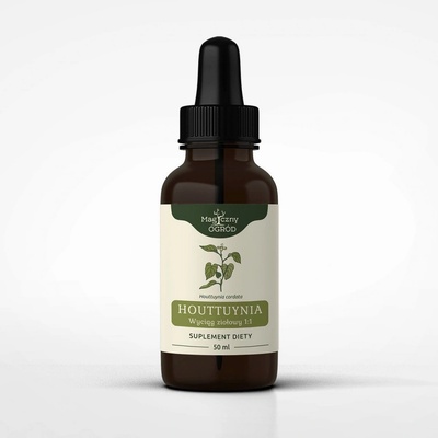 Houttuynia cordata tinktúra 1:1 50 ml
