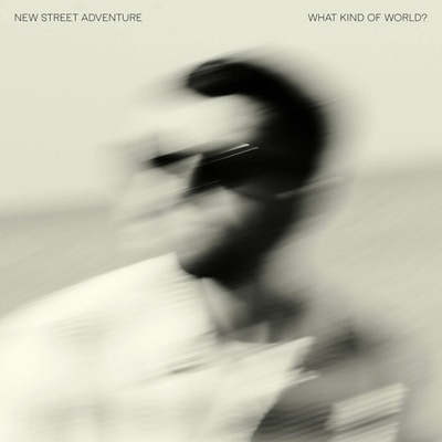 New Street Adventure - What Kind Of Life LP