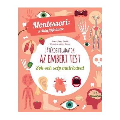 Az emberi test-Montessori - A világ felfedezése