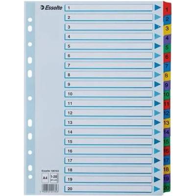 ESSELTE Register, kartón, A4, 1-20, ESSELTE "Mylar"