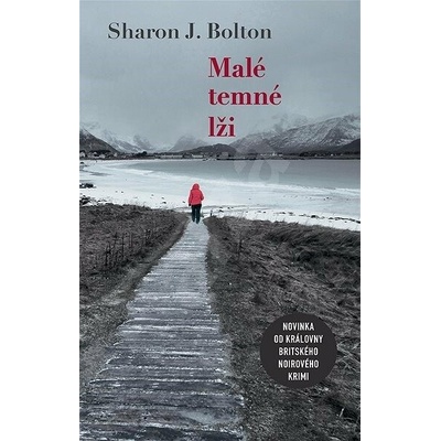 Malé temné lži - Sharon J. Bolton