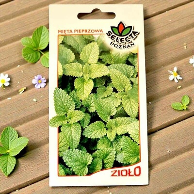 Mäta pieporná semienka Mentha piperita 0,2 g