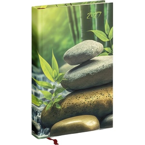REALSYSTEM Дневник с срокове REALSYSTEM Picture A/5, ежедневен, с бели страници, „Медитация 2027 5321-63 (5321-63)