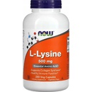 Now Foods L-Lysine 500 mg 250 tablet