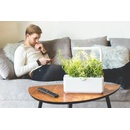 Click And Grow SmartGarden CNG SG3 GRE sivý