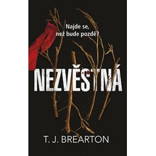 Nezvěstná - T. J. Brearton