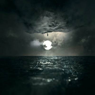 Wooden Veins - In Finitude CD