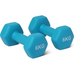 Amazon Basics Neoprene Dumbbells Weights, Dumbbell Set, Set of 2, 6kg, Hexagonal, for Strength Training and Fitness Classes - GND006 (GND006)