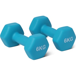 Amazon Basics Neoprene Dumbbells Weights, Dumbbell Set, Set of 2, 6kg, Hexagonal, for Strength Training and Fitness Classes - GND006 (GND006)