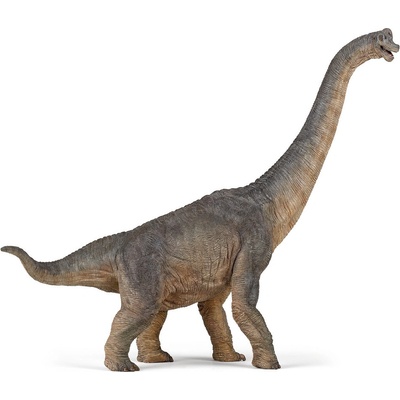 Brachiosaurus