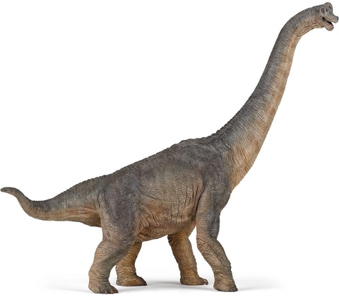 Brachiosaurus