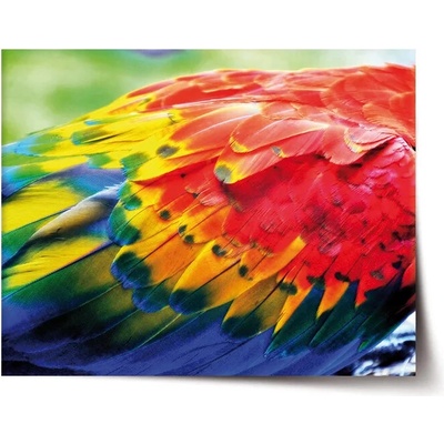 Sablio Plagát Farebné perie 2 - 90x60 cm