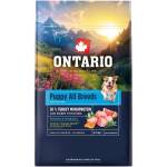 ONTARIO Puppy All Breeds Monoprotein Turkey & Sweet Potatoes 0, 75 кг