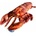 Dubi Lobster 28cm