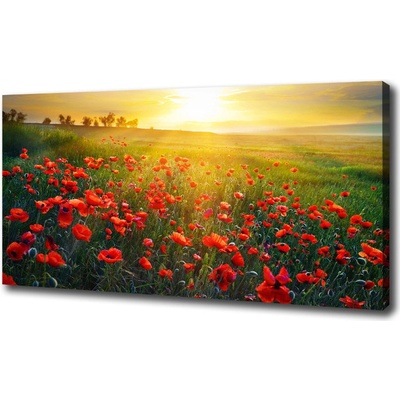 Foto obraz na plátne Pole makov 100x50 cm
