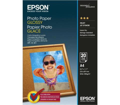 Epson C13S042538