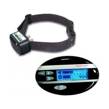 Canifugue Rádiový plot 2015