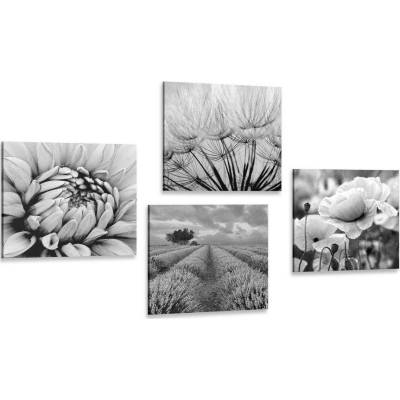 Set obrazů černobílá elegance - 4x 40x40