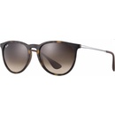 Image 1 of Ray-Ban Erika RB4171 865/13