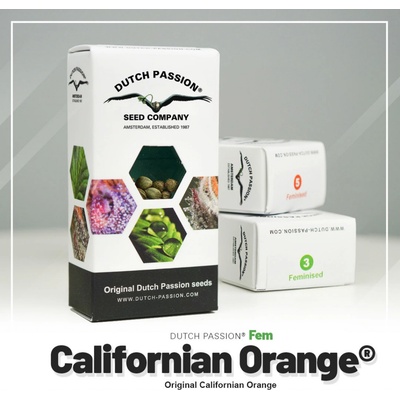 Dutch Passion Californian Orange semienka neobsahujú THC 10 ks