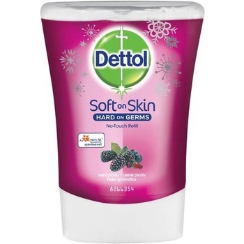 Dettol 250ml lesní plody