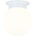 ACA Lighting SU0608WW
