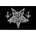 Dark Funeral Logo
