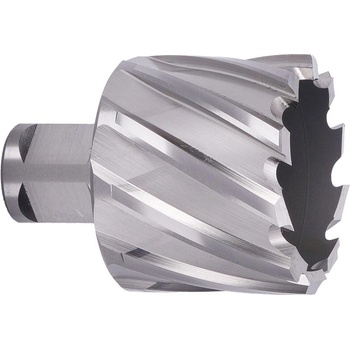 ABSE N-HS-W19-0410025
