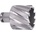 ABSE N-HS-W19-0410025