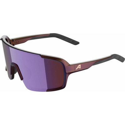 Alpina Lumin 4003692334589